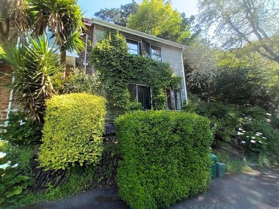 Treetop Cottage At Countisbury Lodge Lynmouth Exterior photo